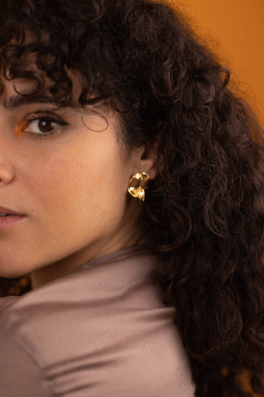 Lyra Brincos
